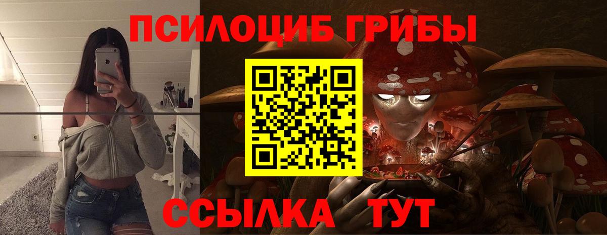 Псилоцибиновые грибы прущие грибы Губкинский