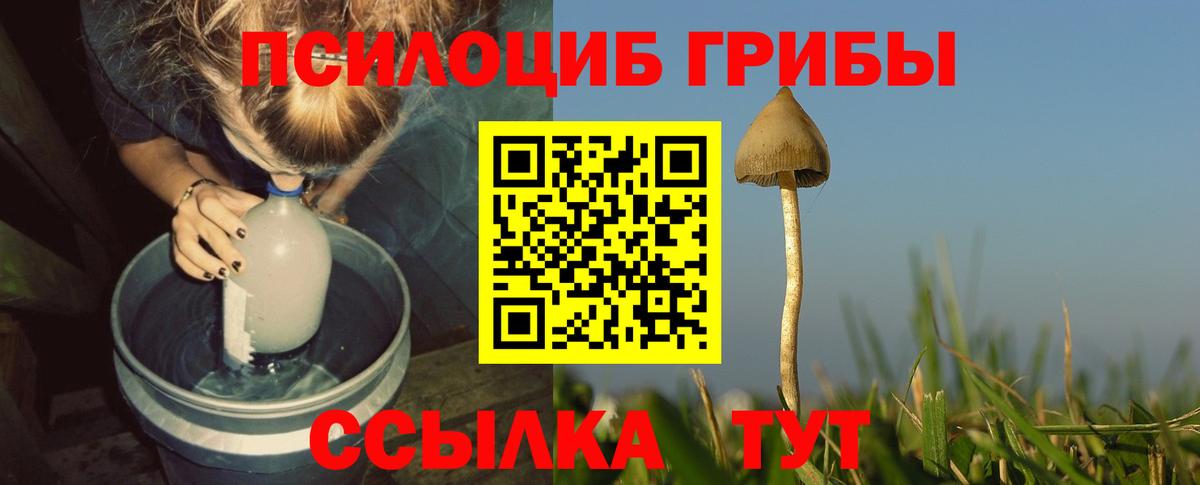 Галлюциногенные грибы мицелий  Вход с VPN  Псилоцибиновые грибы MAGIC MUSHROOMS  Губкинский 
